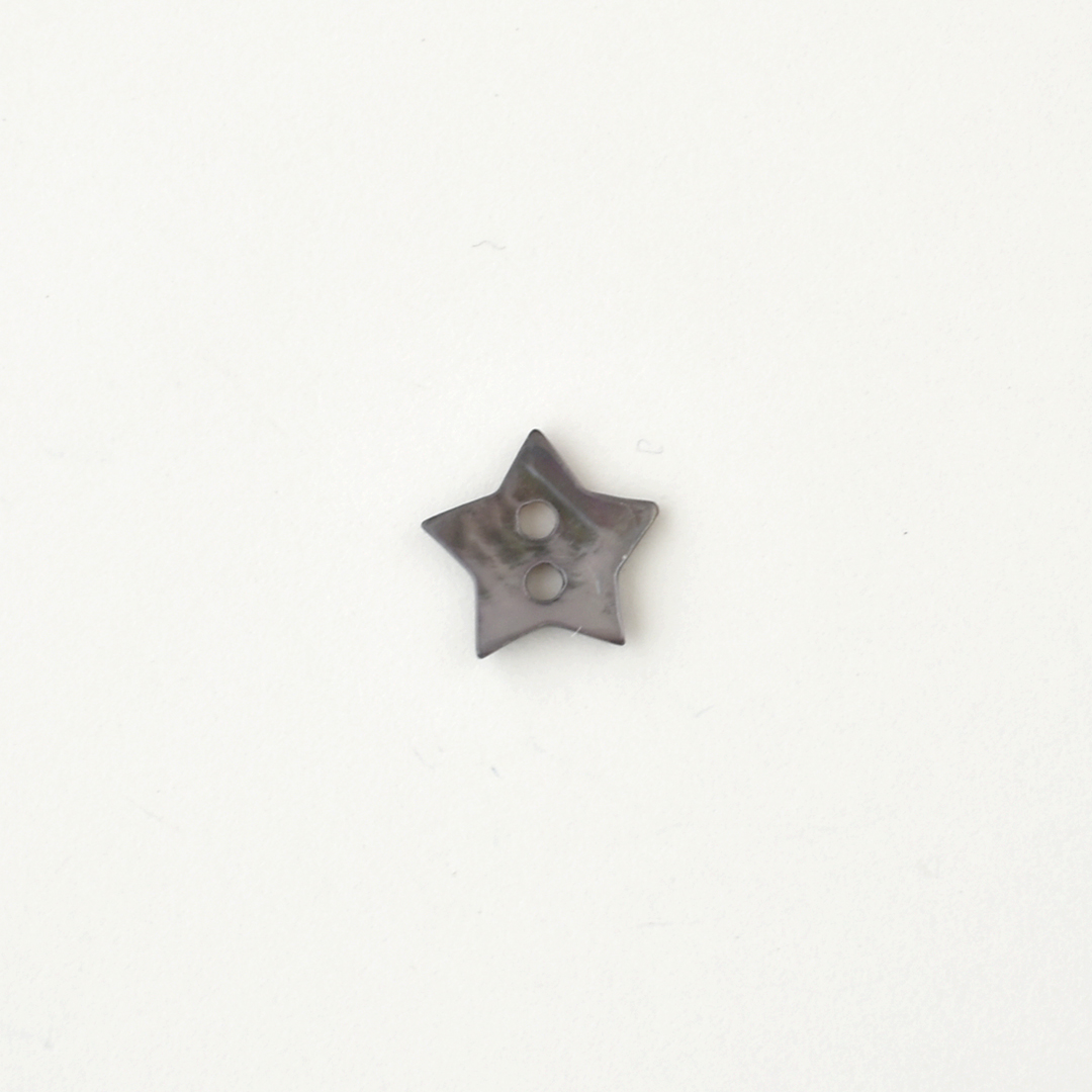 フランスの星のシェルボタン　ラベンデューラ